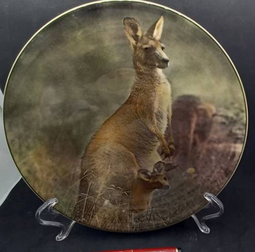 Vintage Royal Doulton Mother Kangaroo with Joey. D.6423 Plate 265mm