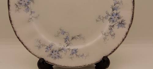 Vintage Paragon `Brides Choice` Stroke-on-trent Side Plate 160mm made in England