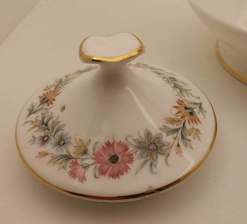 Vintage Paragon BELINDA Stoke-on-Trent Teapot-By Appointment to the Queen-Lid has a chip