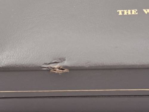 Pre-owned  ST.Lavin Ball pen  -Paris-Personalised THE CAP DOES NOT FIT TIGHT In Case