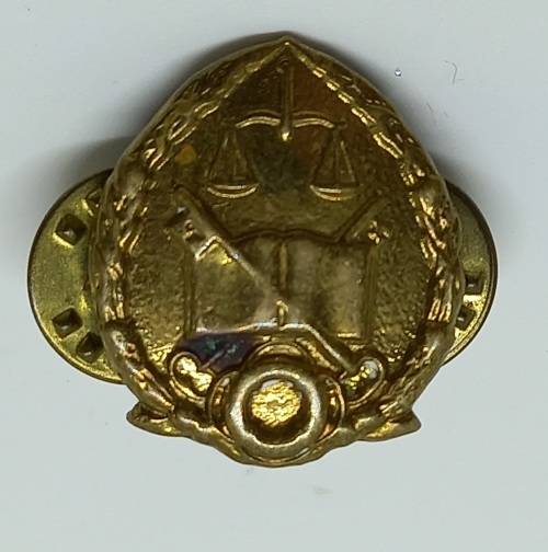 Vintage South Africa GDPS Prison Services Collar badge - Brass  22x17mm