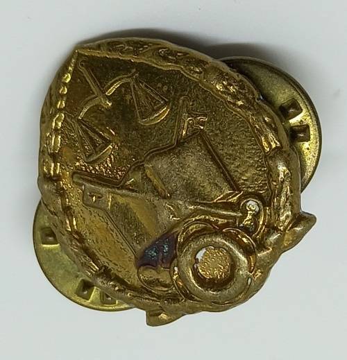 Vintage South Africa GDPS Prison Services Collar badge - Brass  22x17mm