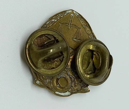 Vintage South Africa GDPS Prison Services Collar badge - Brass  22x17mm