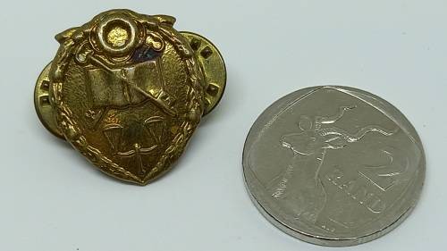 Vintage South Africa GDPS Prison Services Collar badge - Brass  22x17mm