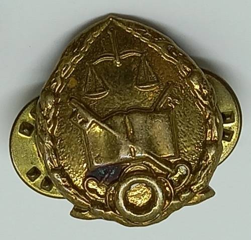 Vintage South Africa GDPS Prison Services Collar badge - Brass  22x17mm