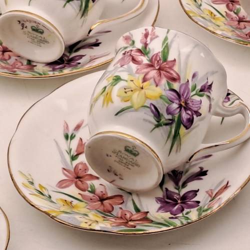 1950`s Royal Standard Garden Glory Demitasse 5 Cups ,6 Saucers (1 Cup chipped and 1 hairline Crack)