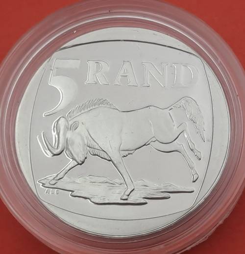 1999 ININGIZIMU AFRIKA PROOF R5 in Capsule.