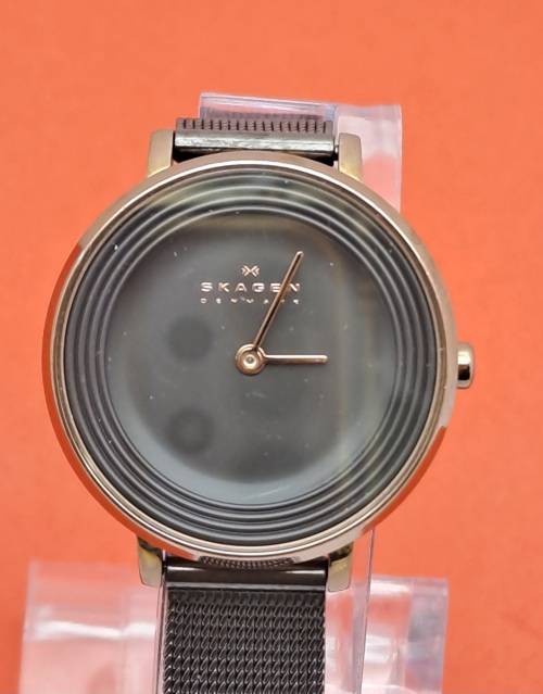 Pre-Owned Ladies Skagen -Denmark Fashion Quartz watch   -Working