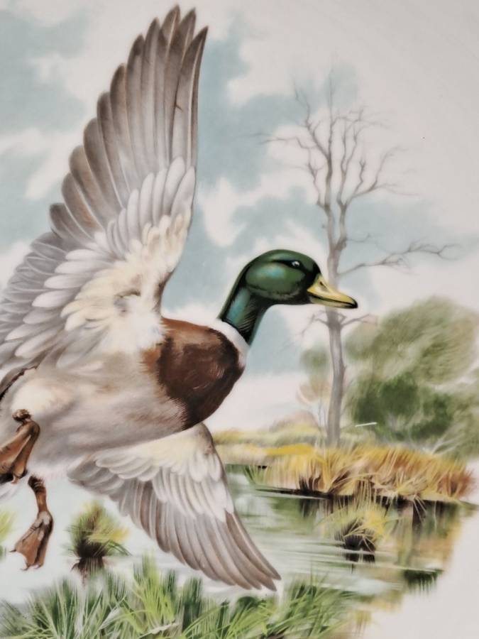 Vintage Royal Chelsea Bone China BIRDS OF THE COUNTRY SIDE COLLECTION THE MALLARD Plate -England