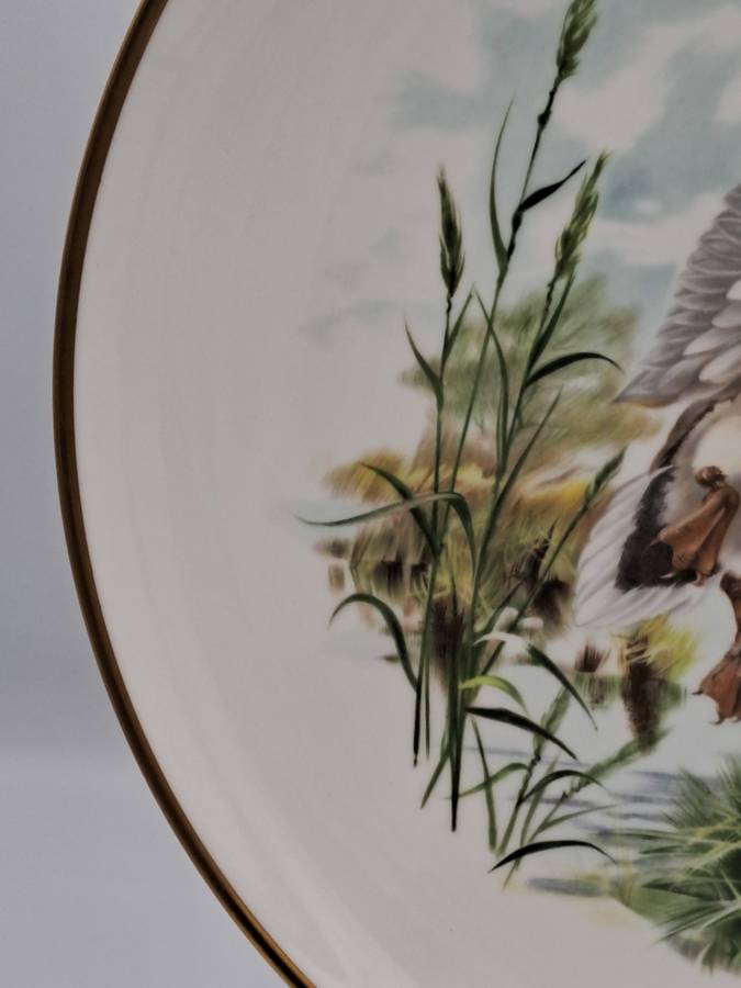 Vintage Royal Chelsea Bone China BIRDS OF THE COUNTRY SIDE COLLECTION THE MALLARD Plate -England