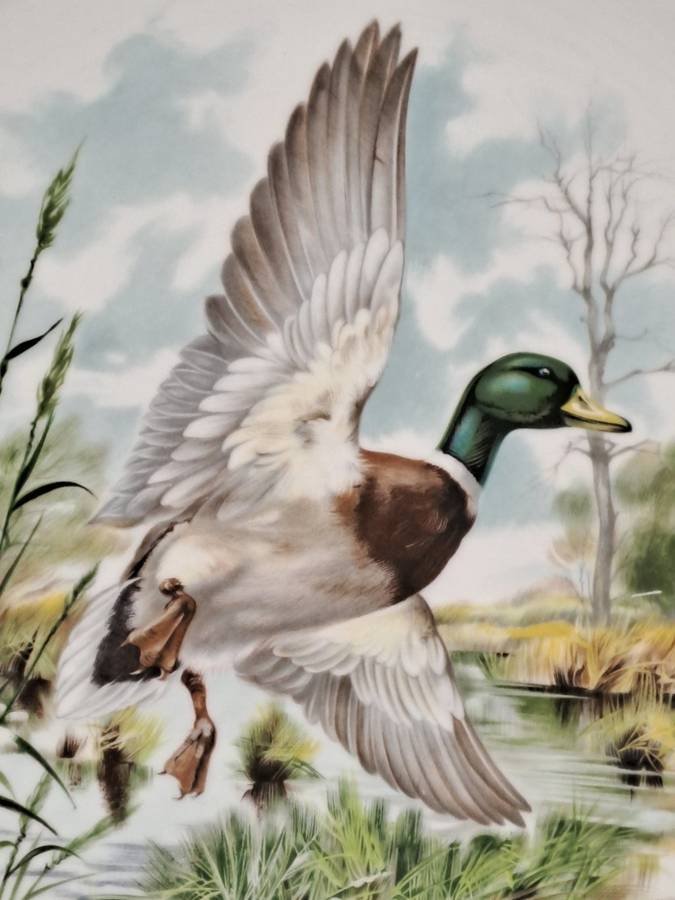 Vintage Royal Chelsea Bone China BIRDS OF THE COUNTRY SIDE COLLECTION THE MALLARD Plate -England