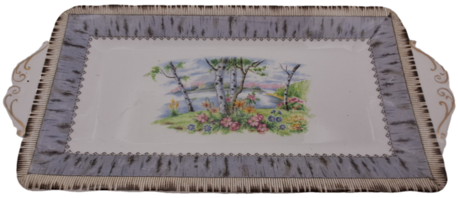 Vintage Royal Albert SILVER BIRCH Tray  Bone China England 290x132mm