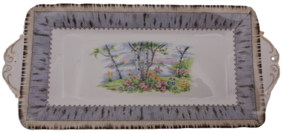 Vintage Royal Albert SILVER BIRCH Tray  Bone China England 290x132mm