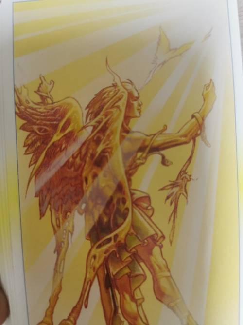 Tarots of Metamorphosis
