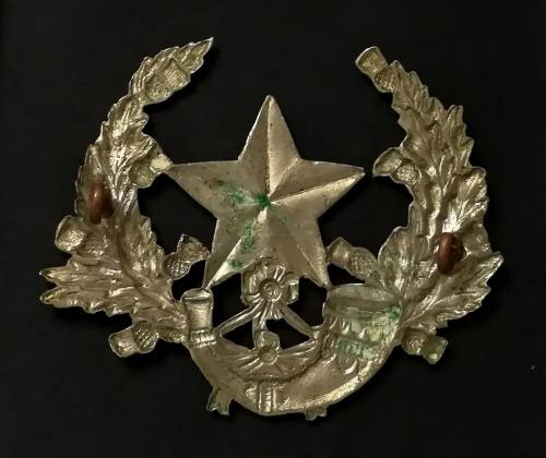 CAMEROONIANS SCOTTISH RIFLES + DURHAM LIGHT INFANTRY CAP BADGE 55X75MM