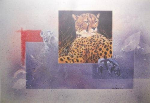 Jean Abrie- Cheetah (free postage)