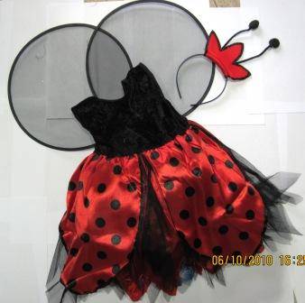 Lady Bug Costume-4-6 yrs