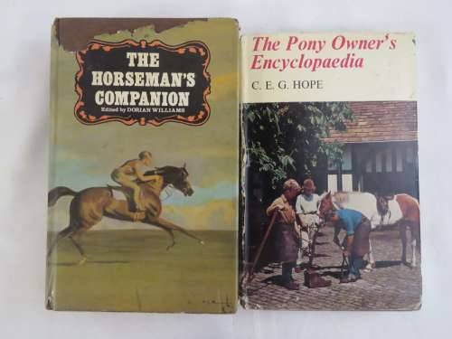 Lot of 2 horse themed books - See description