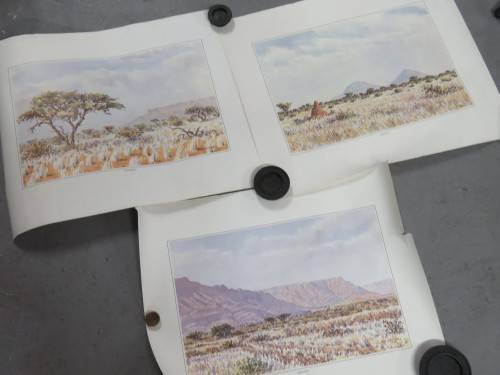 Lot of 3 prints of South West Africa - One torn - 60cm x 49cm