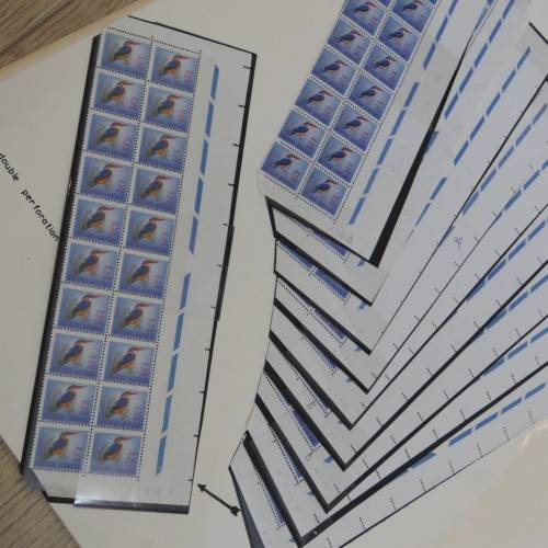 South Africa Natal Kingfisher stamp with double perforation on sheet edge