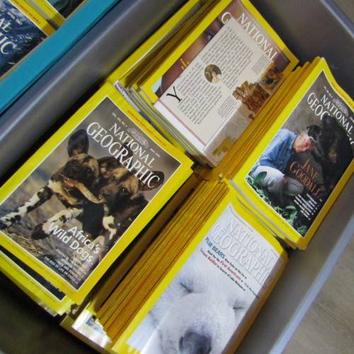 National Geographic - Batch of books from 1972 to 2001 - (COLECTION ONLY)