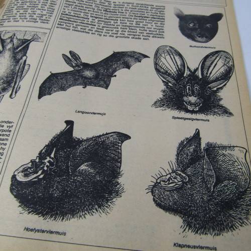 Patrys magazine - April 1978 - Die nuwe kabinet  - no poster - punch holes
