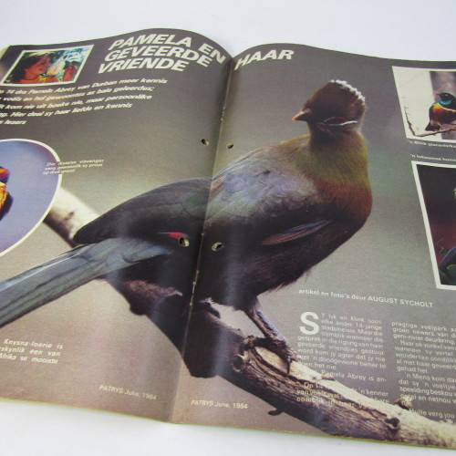 Patrys magazine - Julie 1984 - SA Police junior reserviste article  poster - punch holes