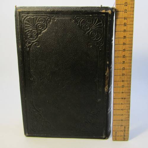 Man the Masterpiece 1891 Edition JH Kellogg