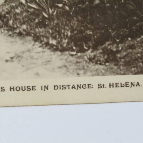 Longwood Avenue , St Helena Postcard - unused