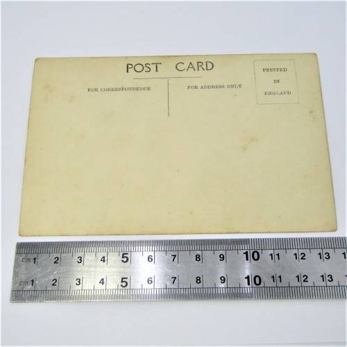 Longwood Avenue , St Helena Postcard - unused