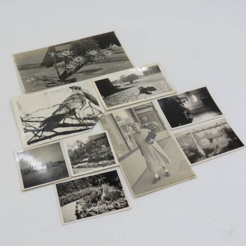 Photo Album of the Logie Family of South West Africa with 101 photos post 1920