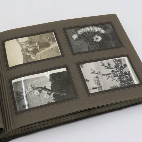 Photo Album of the Logie Family of South West Africa with 101 photos post 1920