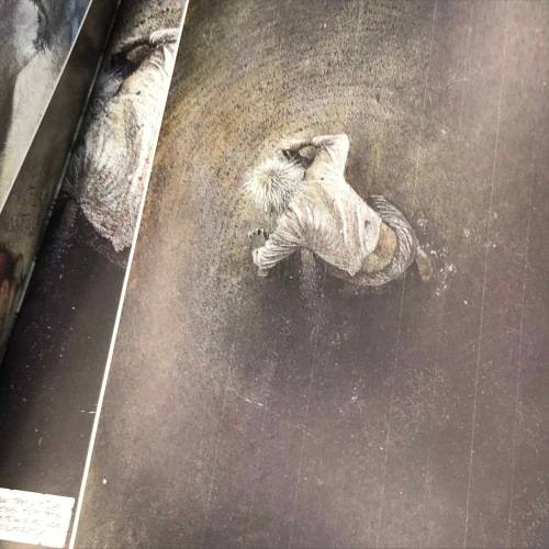 DC CComics Batman - The man who laughs and Arkham Asylum graphic novel