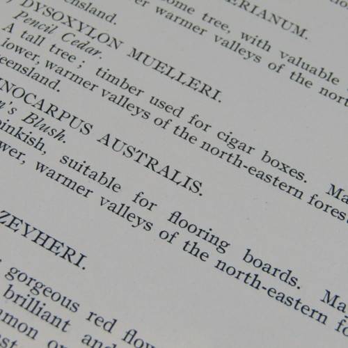 Transvaal Forest Report by De Hutchins 1904 in depth discussion on types of trees