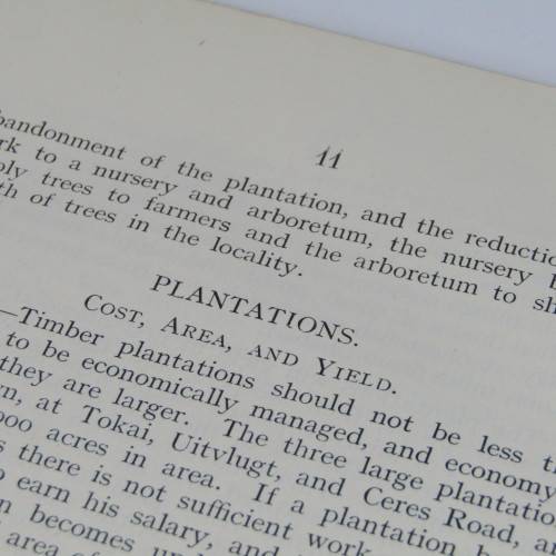 Transvaal Forest Report by De Hutchins 1904 in depth discussion on types of trees