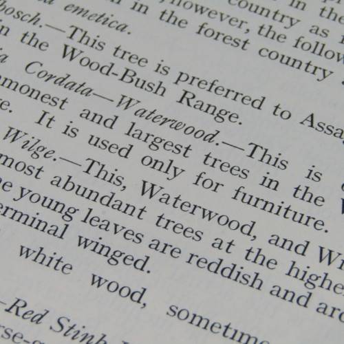 Transvaal Forest Report by De Hutchins 1904 in depth discussion on types of trees