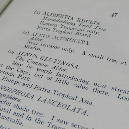 Transvaal Forest Report by De Hutchins 1904 in depth discussion on types of trees