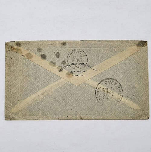 Letter on official Vogelstruis consolidated deep Gold mine Stationary  - See description