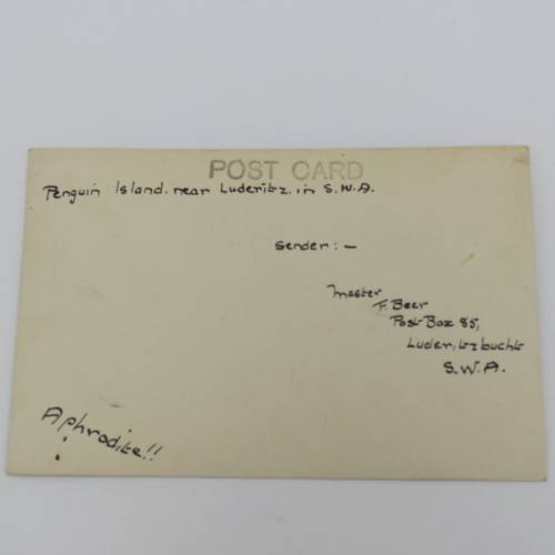 Postcards of penguins - Penguin Island near Luderitz