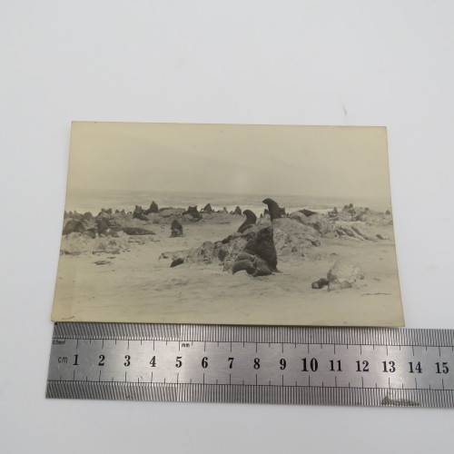 Lot of 6 postcards in Bogenfels Luduritz, Swakopmond and other parts of South West Africa 1930