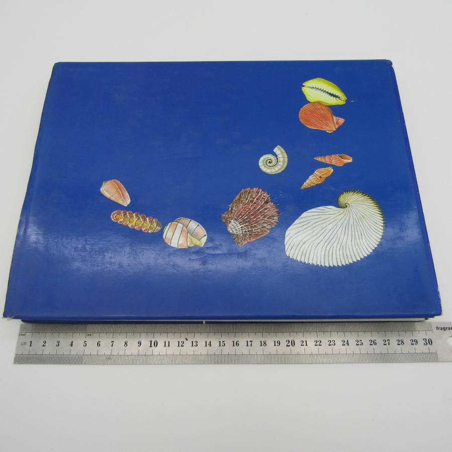Sea Shells of Southern Africa by Richard Kilburn and Elizabeth Rippey