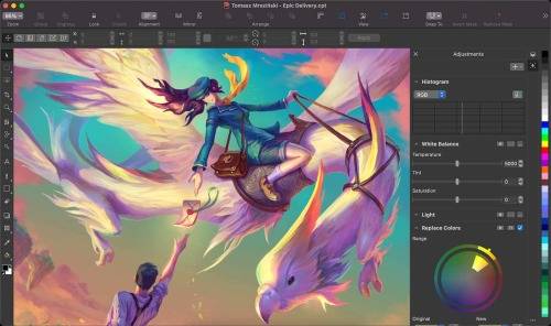 CorelDraw graphics suite 2021 for WINDOWS (LIFETIME VERSION)