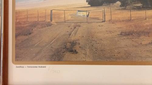 Limited Edition Print by Peter Bonney3