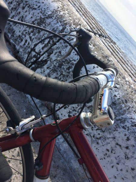 Schwinn Supersport 56cm