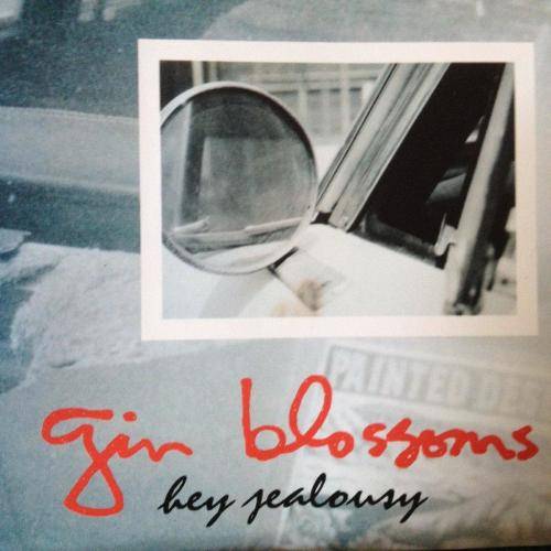 CD - Gin Blossoms -  Hey Jealousy (single)