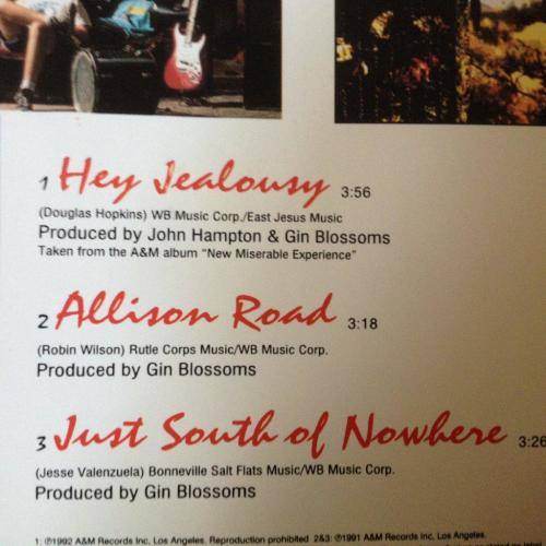 CD - Gin Blossoms -  Hey Jealousy (single)