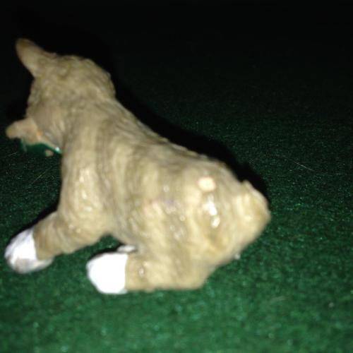 Kitty  in My Pocket no 2