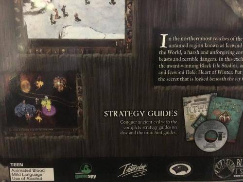 PC - Icewind Dale The Collection (Big Box Game Windows 95)