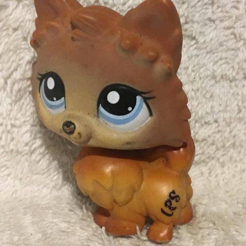 Littlest Pet Shop LPS Character No 12