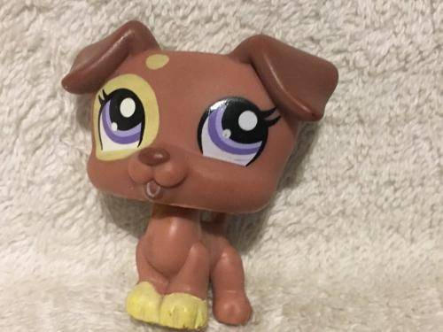 Littlest Pet Shop LPS Character No 13